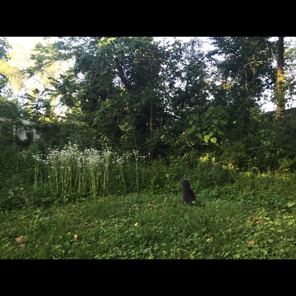 Meet your posher, Mary :) - Picture 4 of 5